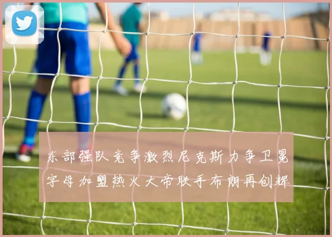 东部强队竞争激烈尼克斯力争卫冕字母加盟热火大帝联手布朗再创辉煌